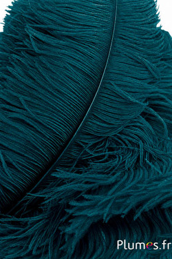 Struisvogel premium - 50-60 cm - petrol